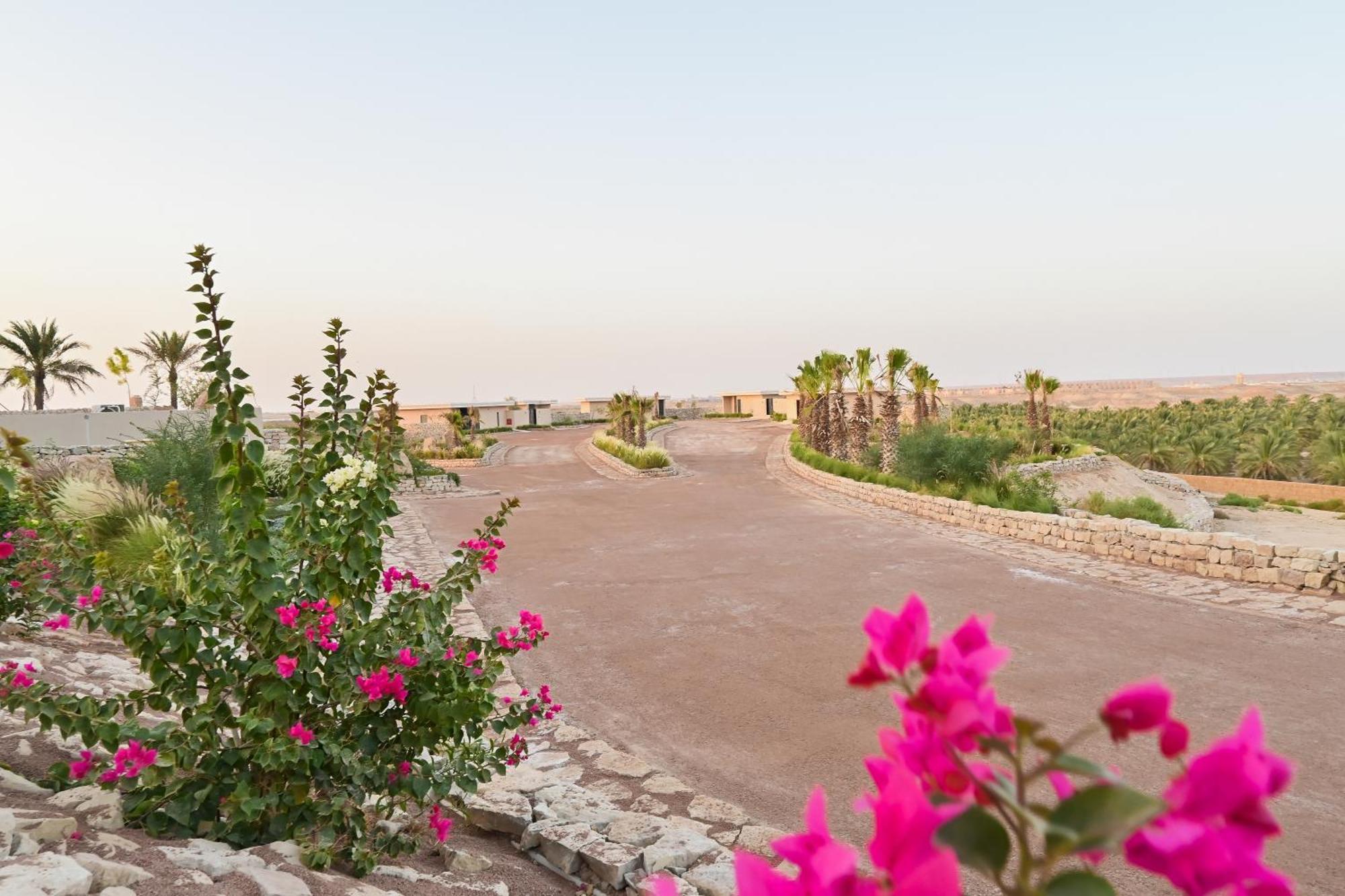 Al Malfa Resort Унайза Екстериор снимка